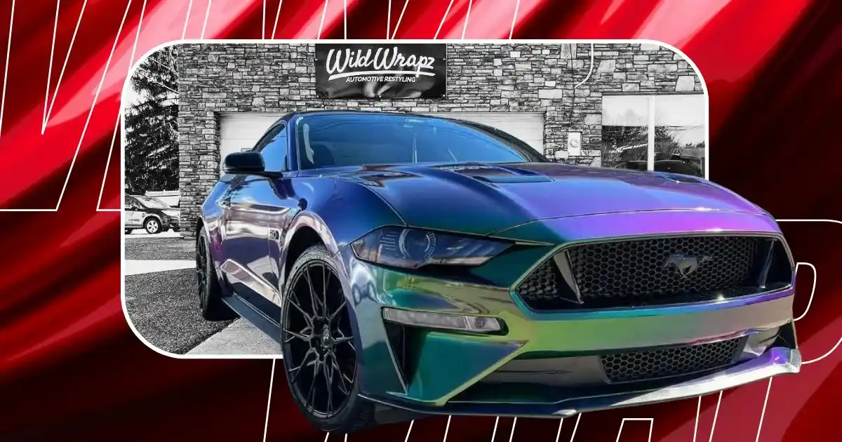 Vinyl Wraps Colors: How to Choose the Best Color in 2024