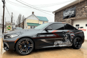 Custom Livery