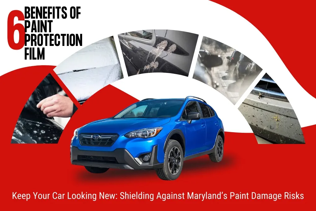 Why Choose WildWrapz for Paint Protection in Maryland?